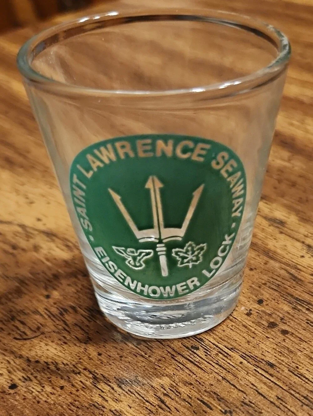 Saint Lawrence Seaway Eisenhower Lock Green Logo Shot Glass